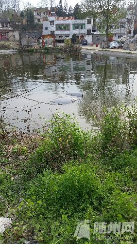 20160325_163103.jpg
