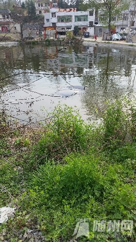 20160325_163101.jpg
