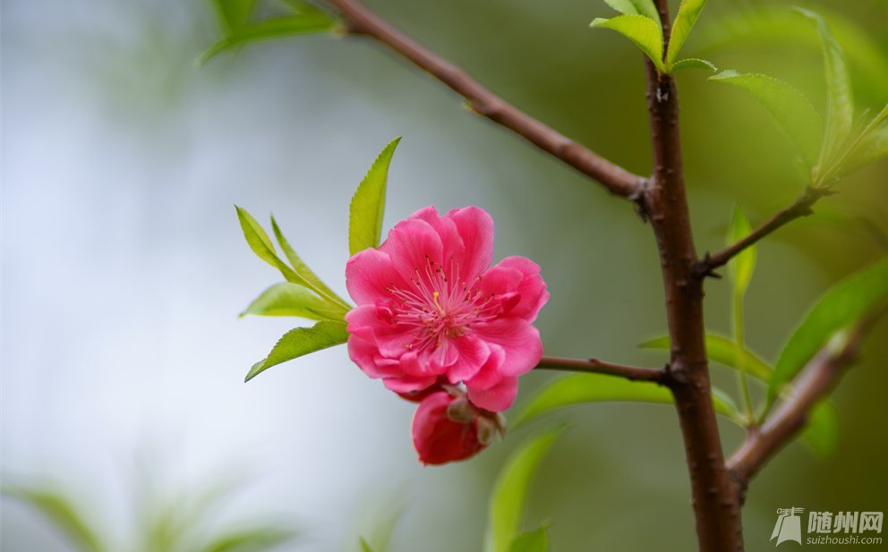 DSC09122_.jpg