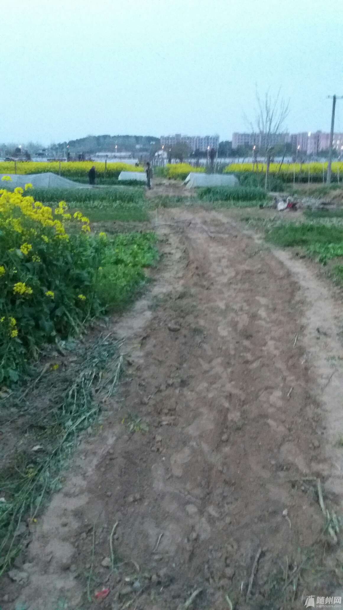 1459228146871.jpg