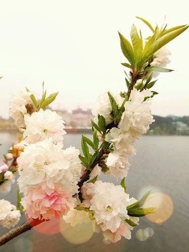 20160329_172113.jpg