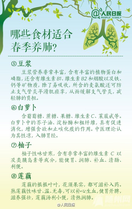 春季润肺养肺全攻略