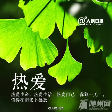 感恩生活，不负过往