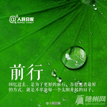 感恩生活，不负过往