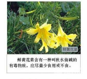 图解食物相生相克——相克篇