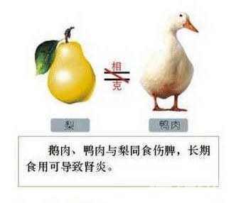 图解食物相生相克——相克篇