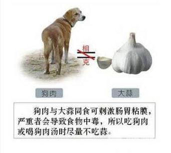 图解食物相生相克——相克篇