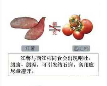 图解食物相生相克——相克篇