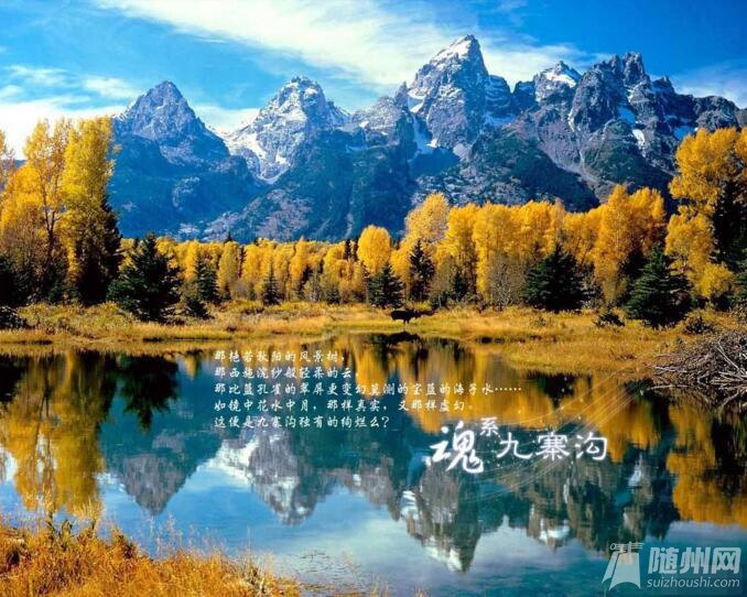 QQ截图20160407101453.jpg