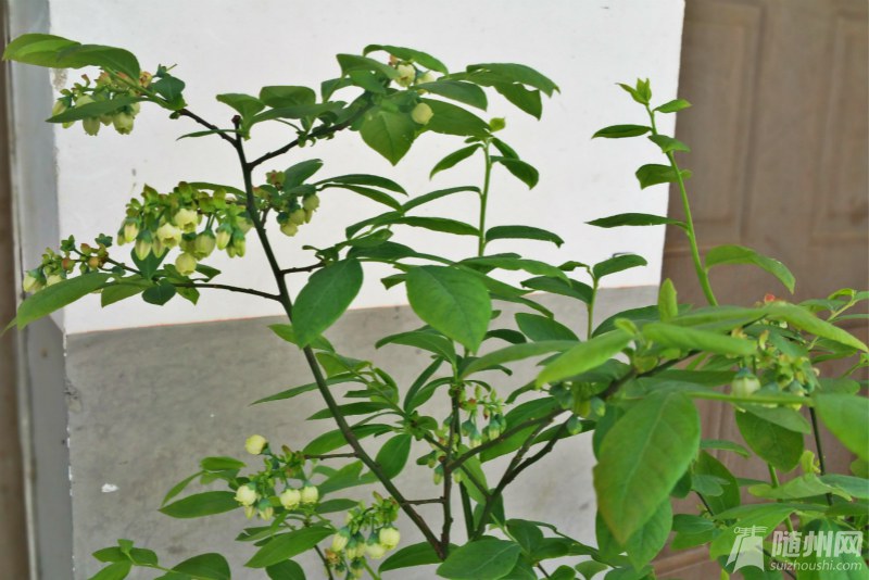 20160407_161055_meitu_1.jpg