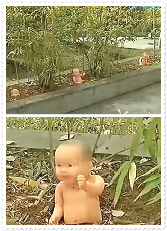 QQͼ20160407112434_meitu_4.jpg
