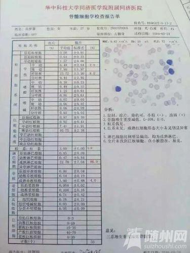 -67d717deacc88c90.jpg