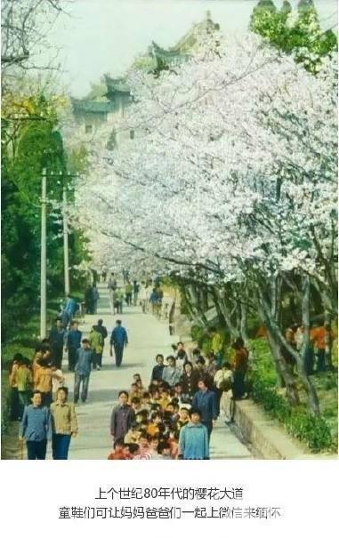 㲻֪人80