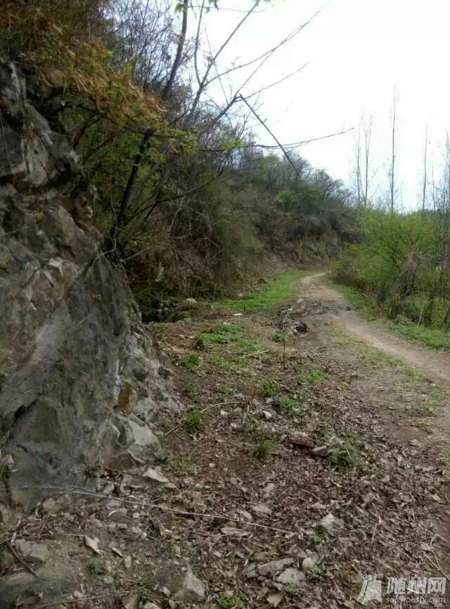 1460637131985.jpg