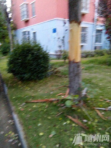 IMG_20160416_184953_083.jpg