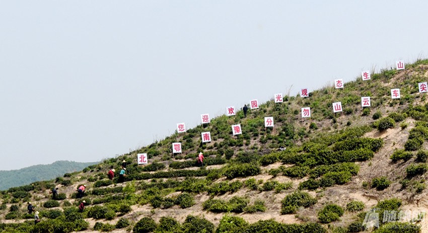 2ݵ공ɽ賡.jpg