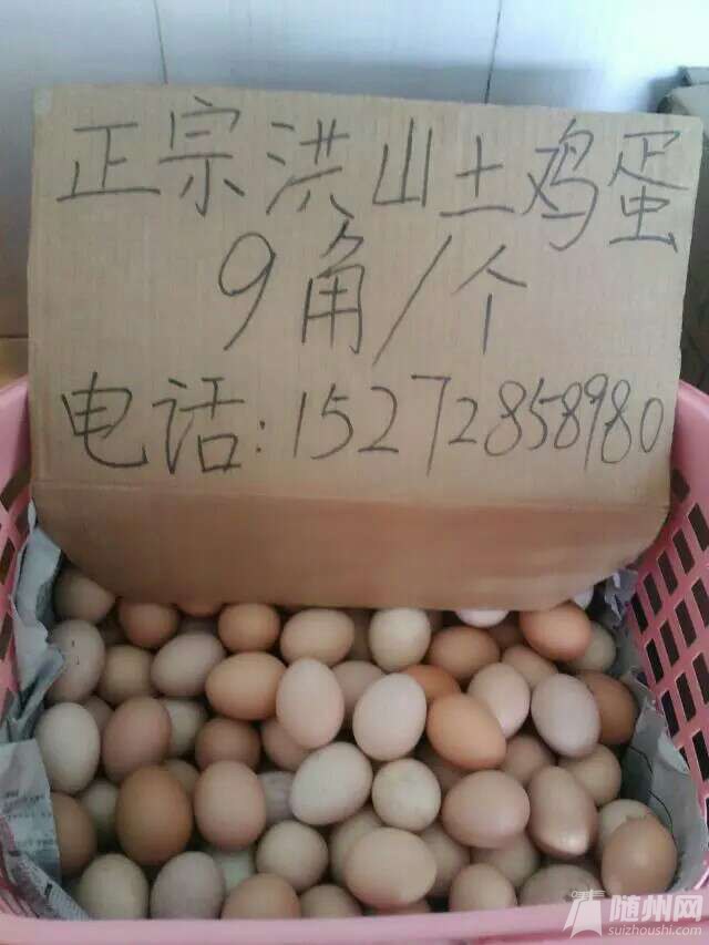 1461484639611.jpg
