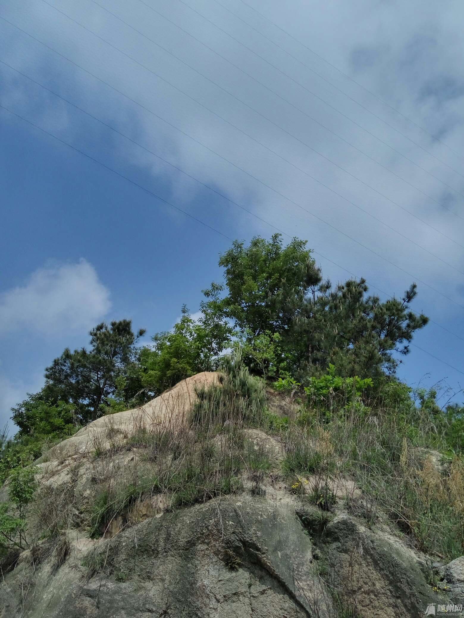 1461597437447.jpg