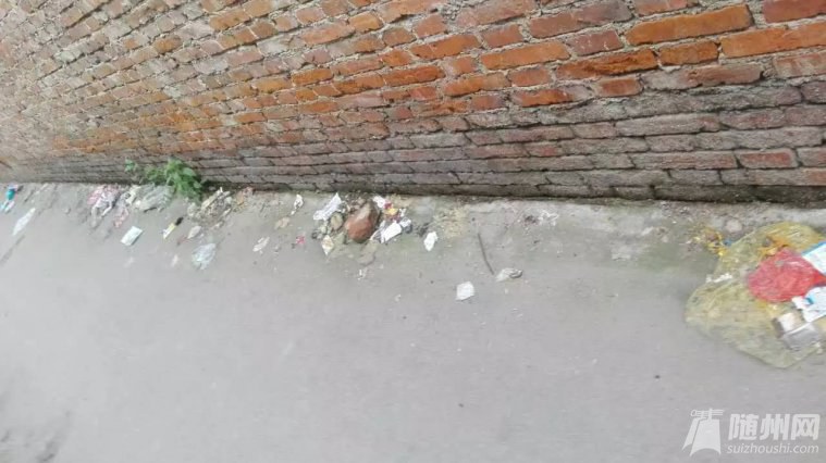 164422xff6onzybccskxzm.jpg.thumb.jpg