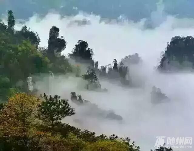 QQ图片20160330134738.jpg