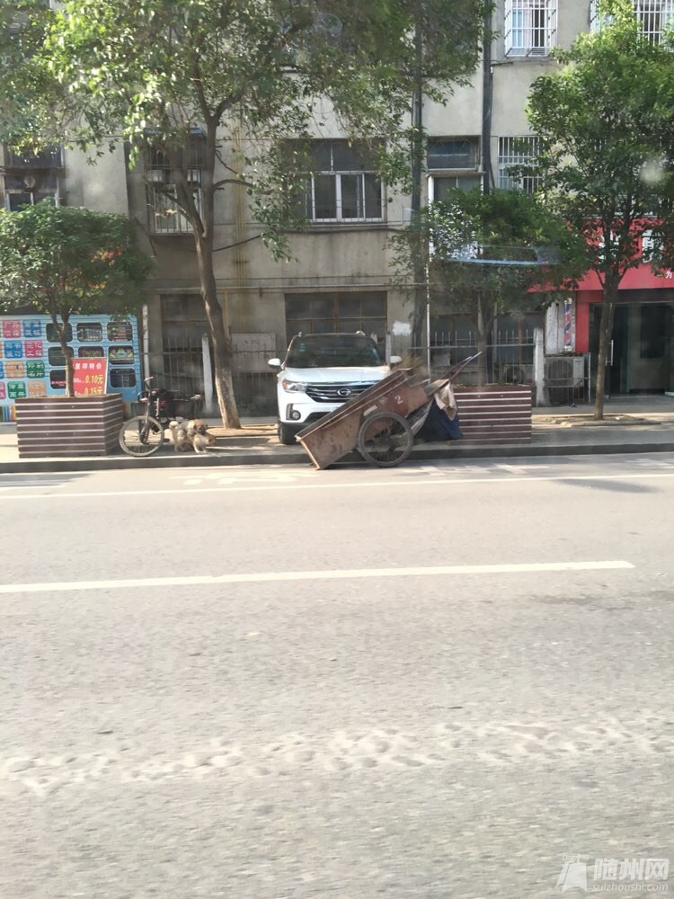 file.jpg