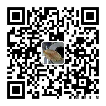 1462603898739.jpg