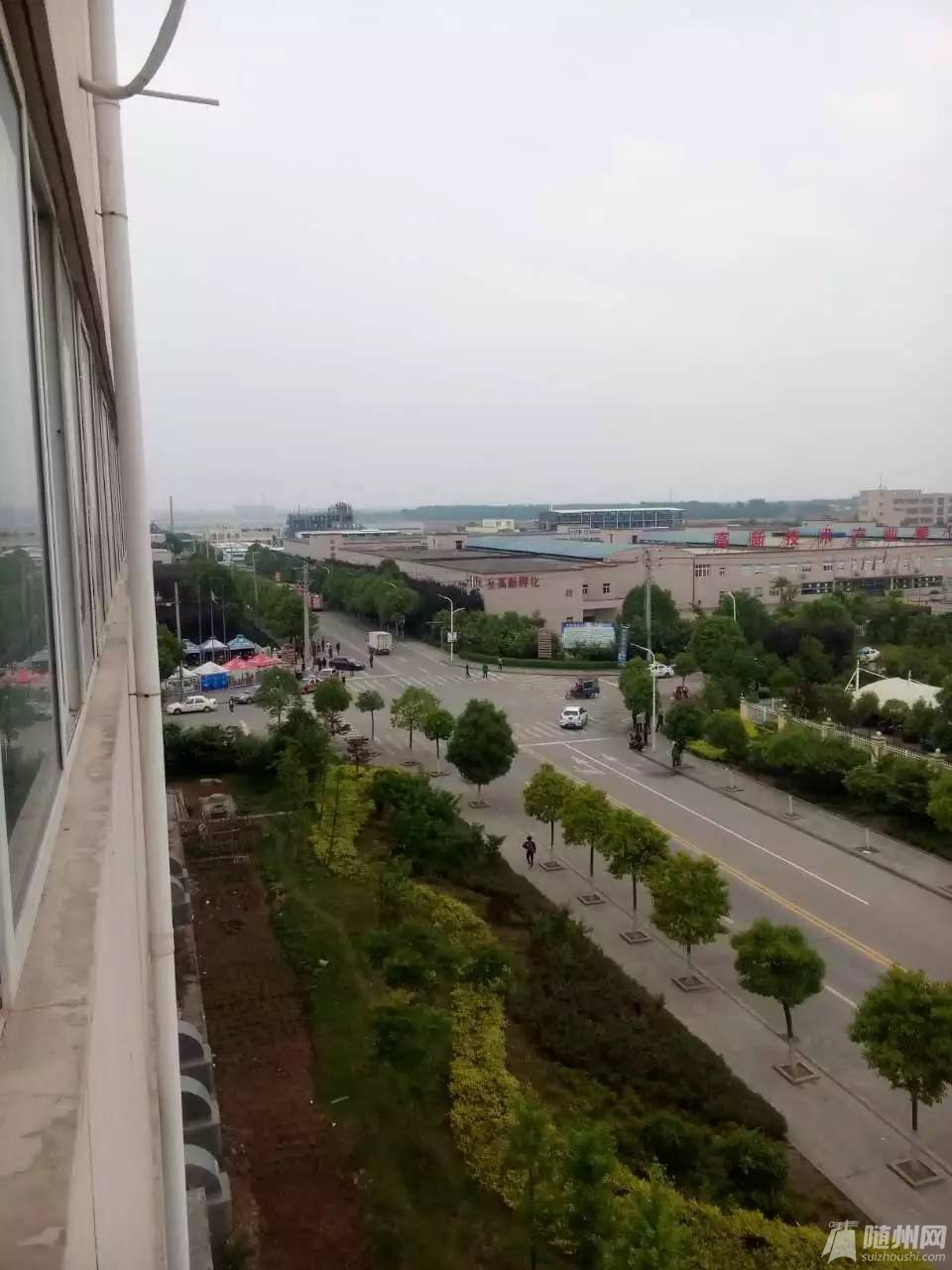 143457sim5zq61m5qcm5ue.jpg