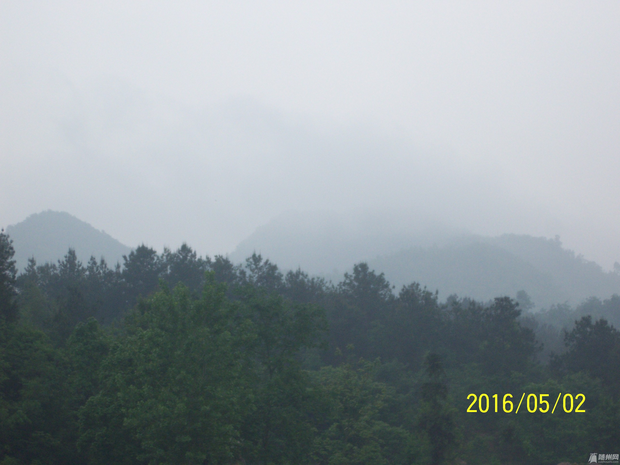 100_4494.JPG