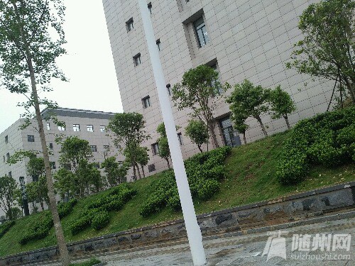 IMG_20160509_150341.jpg
