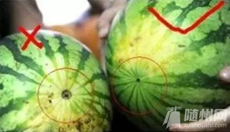 d03e1a70469ba1e59edfaf9a77e6efe4.jpg