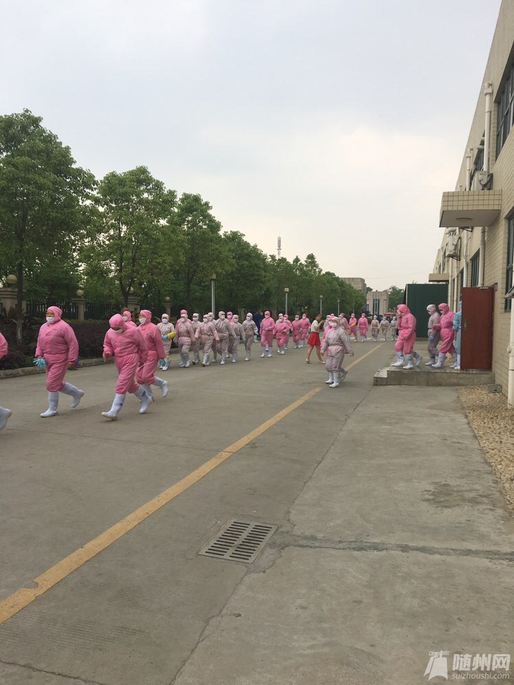file.jpg