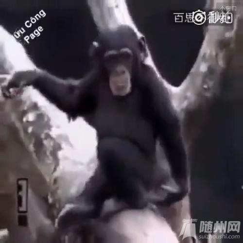 ֵƤˣ.jpg