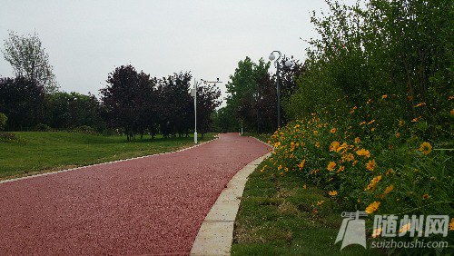 20160528_130722.jpg