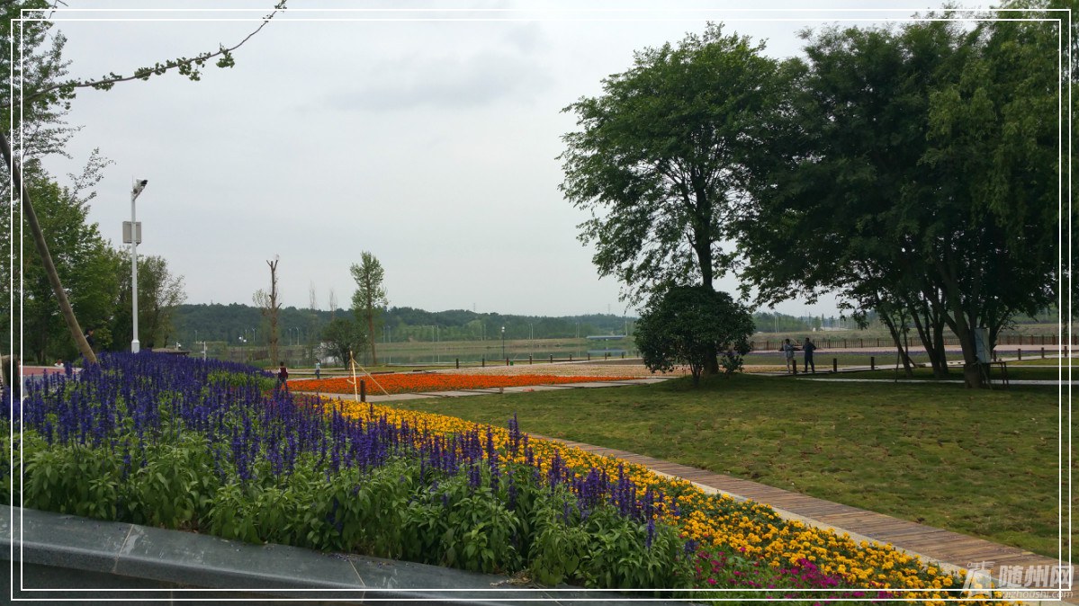 20160528_134012.jpg