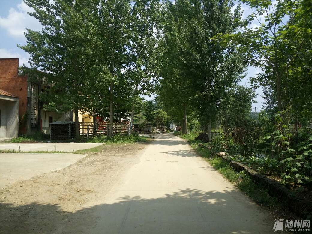 1464523135281.jpg
