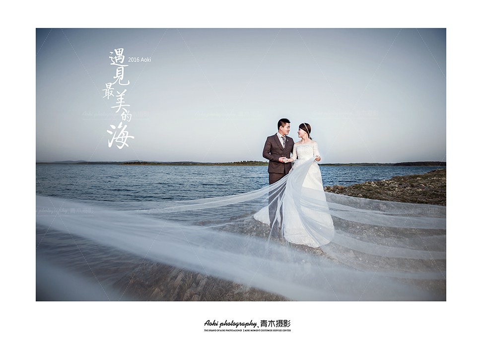 随州大禹婚纱_大禹手绘(3)
