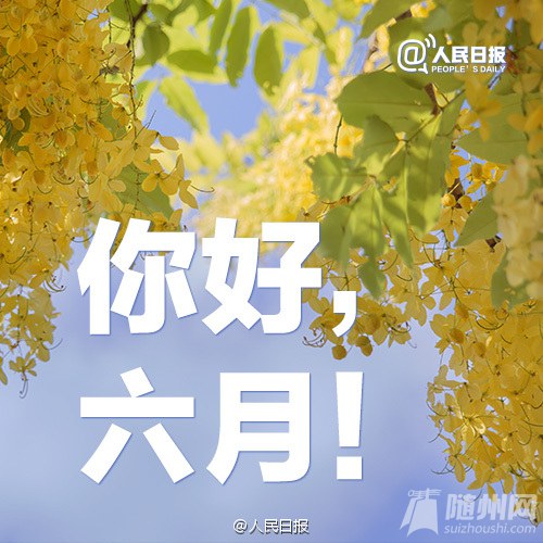 Ұ㣻6