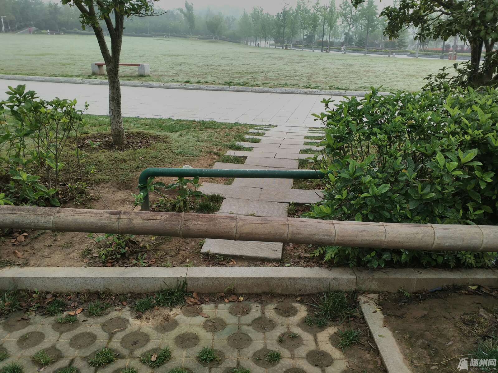 1465262929159.jpg