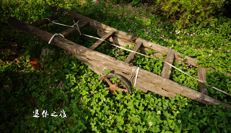 4B1A6443.jpg