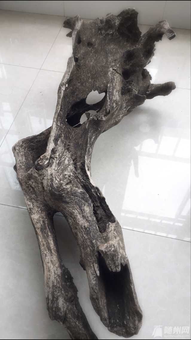 222.jpg