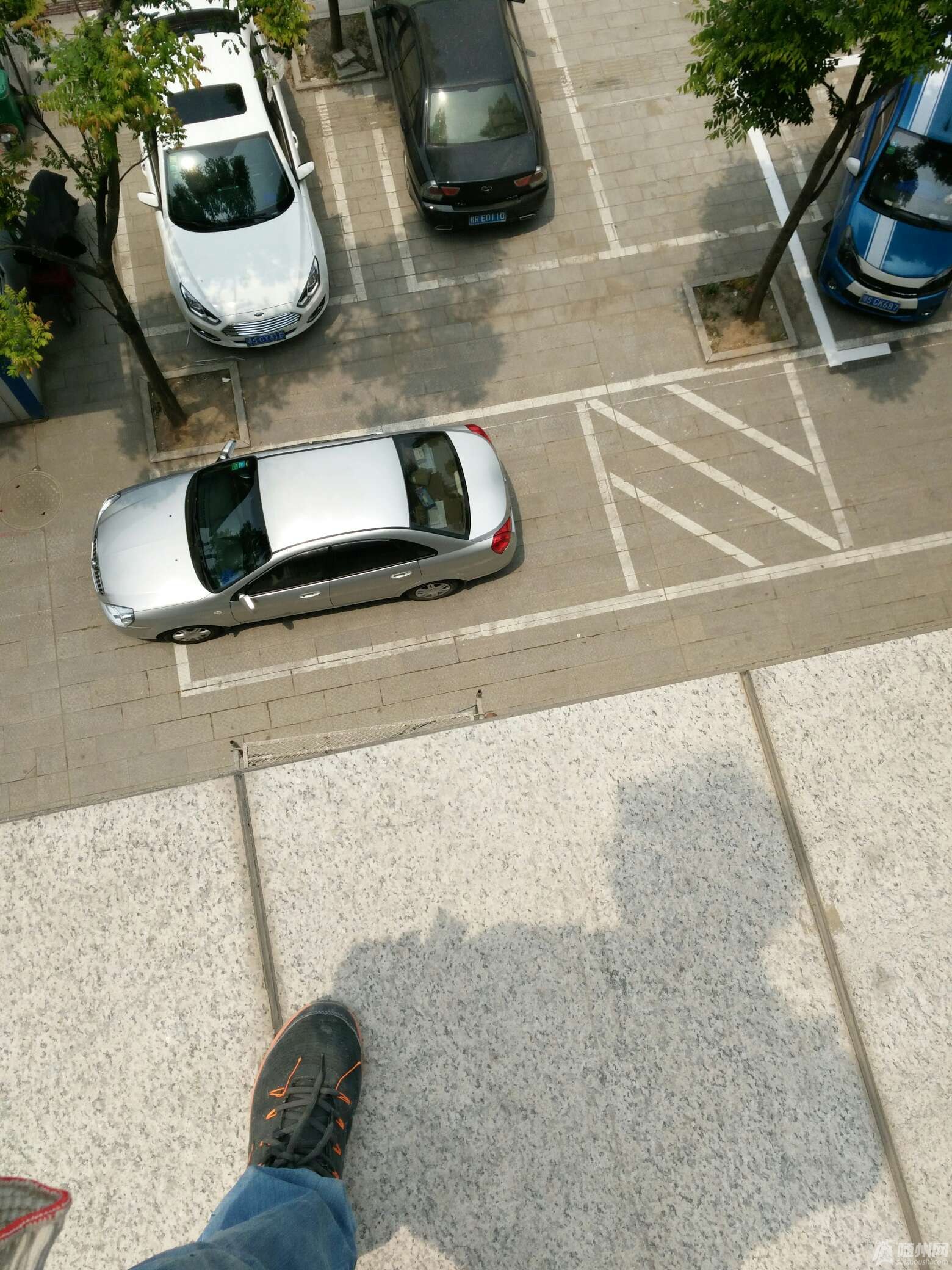 1465829113562.jpg