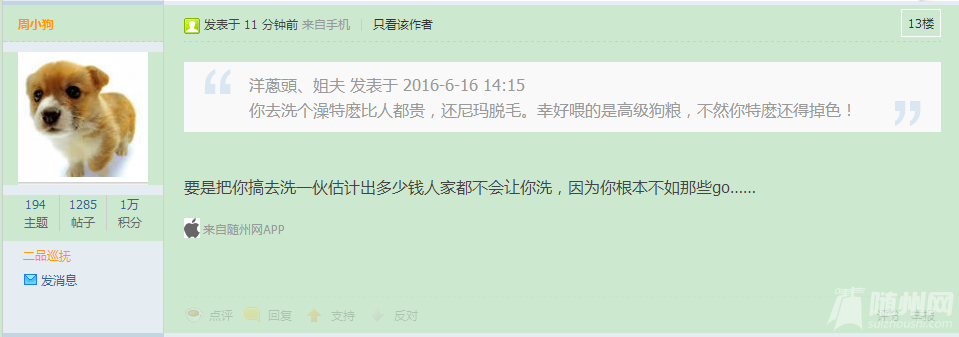 QQ图片20160616144949.png