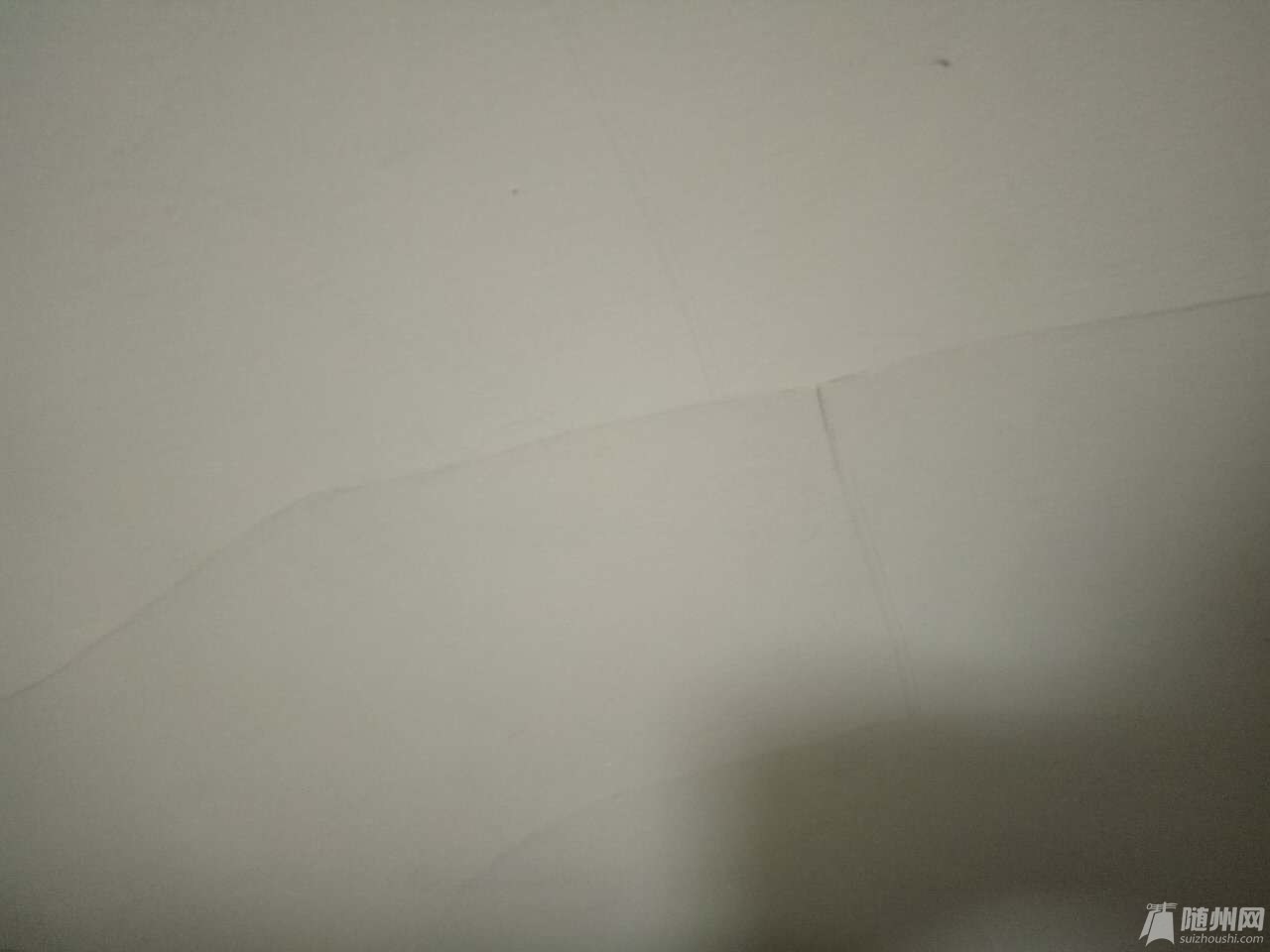 3835875929273739.jpg