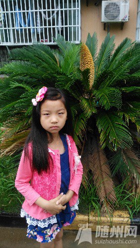 IMG_20160626_142050.jpg