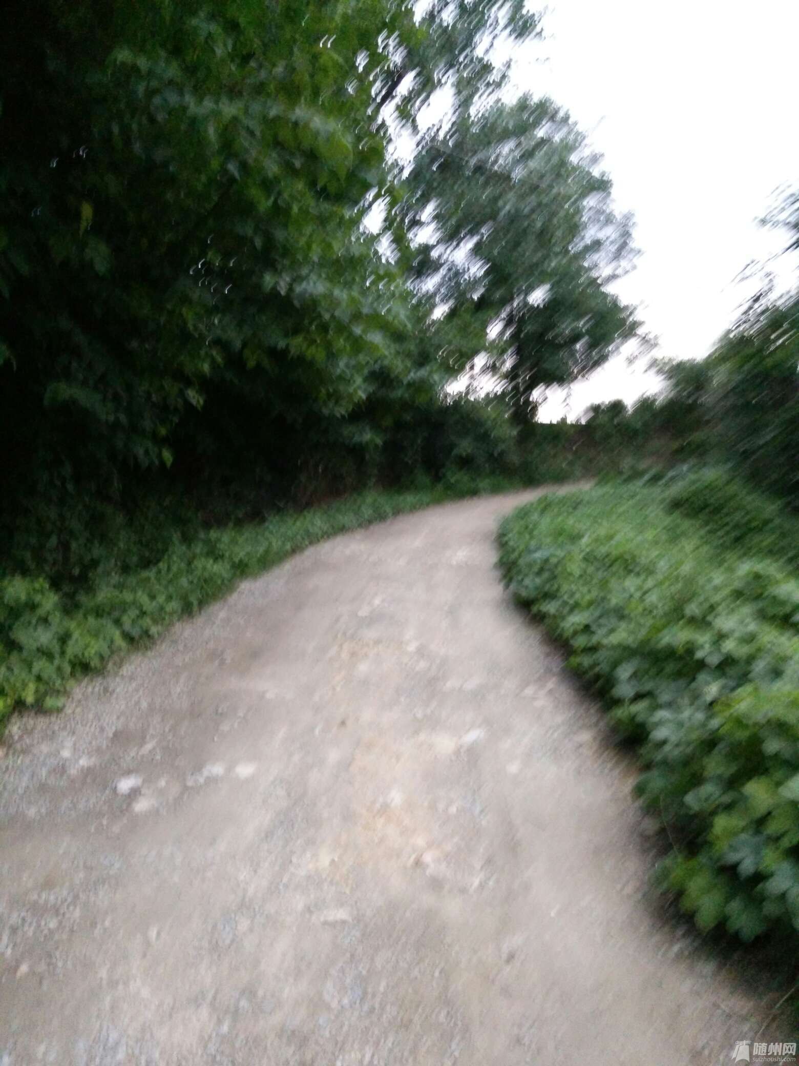 1467029599818.jpg