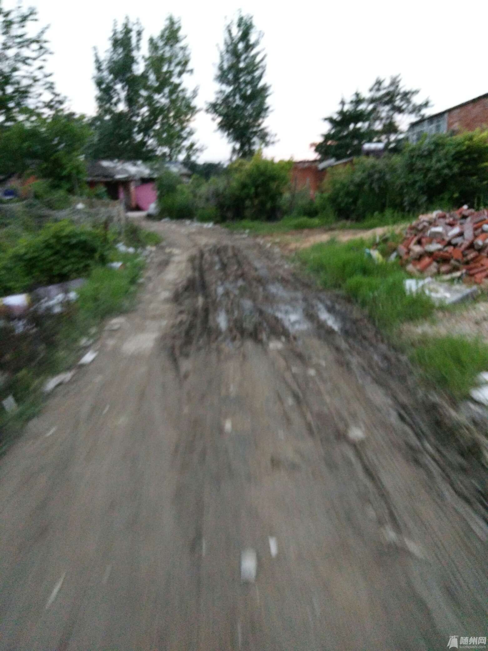 1467029647084.jpg