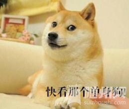 4135c3d68108d3a5a36f4adac55605fc.jpg