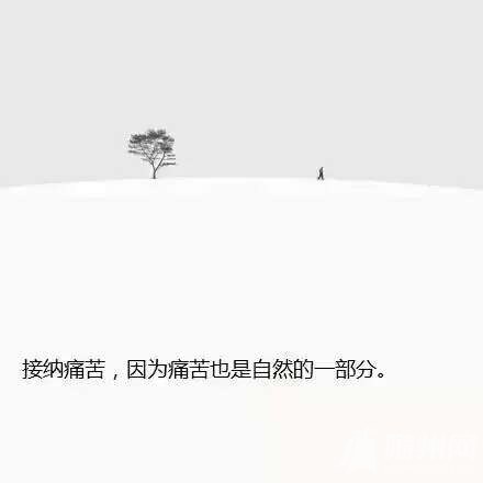 1467421063894.jpg