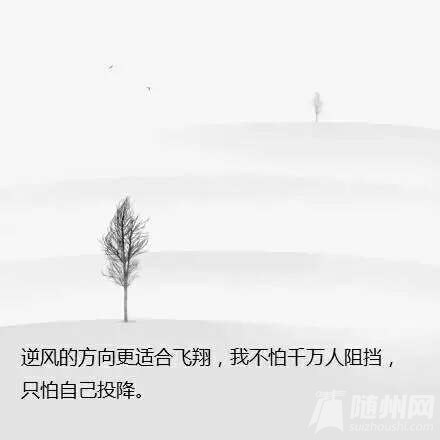 1467421063234.jpg