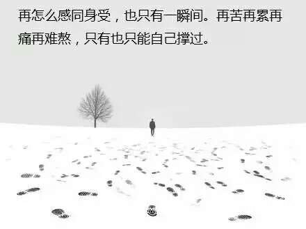 1467421067556.jpg